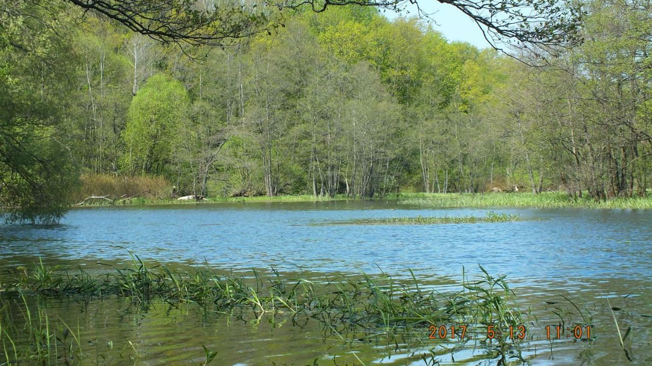 Kwatera Na Bagnach Osowiec (Podlaskie) Exterior foto